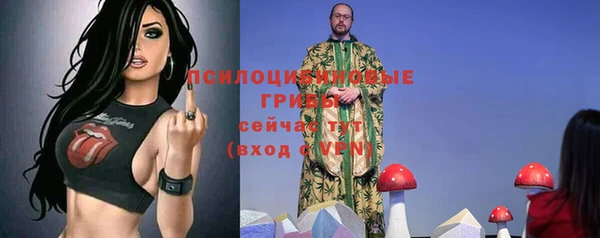 mdpv Краснотурьинск
