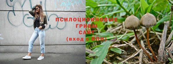 mdpv Краснотурьинск